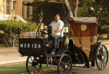 en 15 días se incorporarán dos nuevas calesas eléctricas al centro histórico de mérida