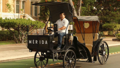 en 15 días se incorporarán dos nuevas calesas eléctricas al centro histórico de mérida