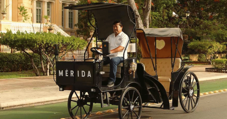 en 15 días se incorporarán dos nuevas calesas eléctricas al centro histórico de mérida