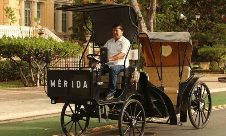 en 15 días se incorporarán dos nuevas calesas eléctricas al centro histórico de mérida