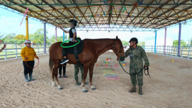 equinoterapia en mérida atención integral infantil