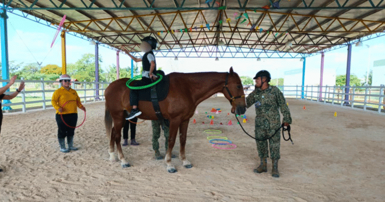 equinoterapia en mérida atención integral infantil