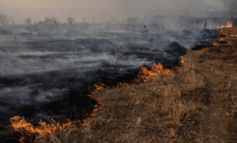 histórico descenso de incendios en yucatán en 2025