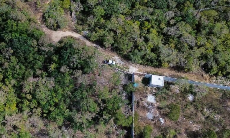 Clausuran predio en Dzibilchaltún por daño ambiental y vestigios arqueológicos