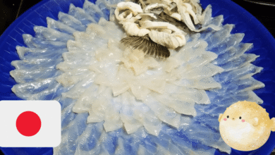 La Ruleta Rusa gastronómica Fugu, el pez que te envenena en minutos si el chef se equivoca un milímetro (Fotos por OMAKASE JapanEatinerary y Canva)