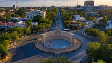 Consulta ciudadana definirá el futuro del Paseo de Montejo