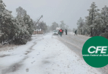 CFE activa operativo ante tormenta invernal "Fern": 800 electricistas en alerta total