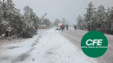 CFE activa operativo ante tormenta invernal "Fern": 800 electricistas en alerta total