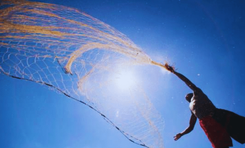 pesca en yucatán cierra con balance positivo en pulpo y expectativa moderada en otras especies