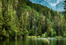 Canadá alberga algunos de los bosques más impresionantes del planeta, reconocidos por su biodiversidad, extensión y belleza escénica.