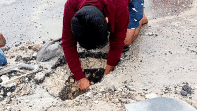 El Sistema Municipal de Agua Potable y Alcantarillado de Progreso (SMAPAP) informó que, durante el mes de enero, se atendieron 56 reportes ciudadanos, como parte del compromiso institucional con una atención oportuna y eficiente de los servicios.