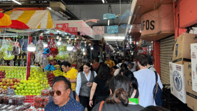 revisan concesiones y preparan reordenamiento integral en los mercados lucas de gálvez y san benito