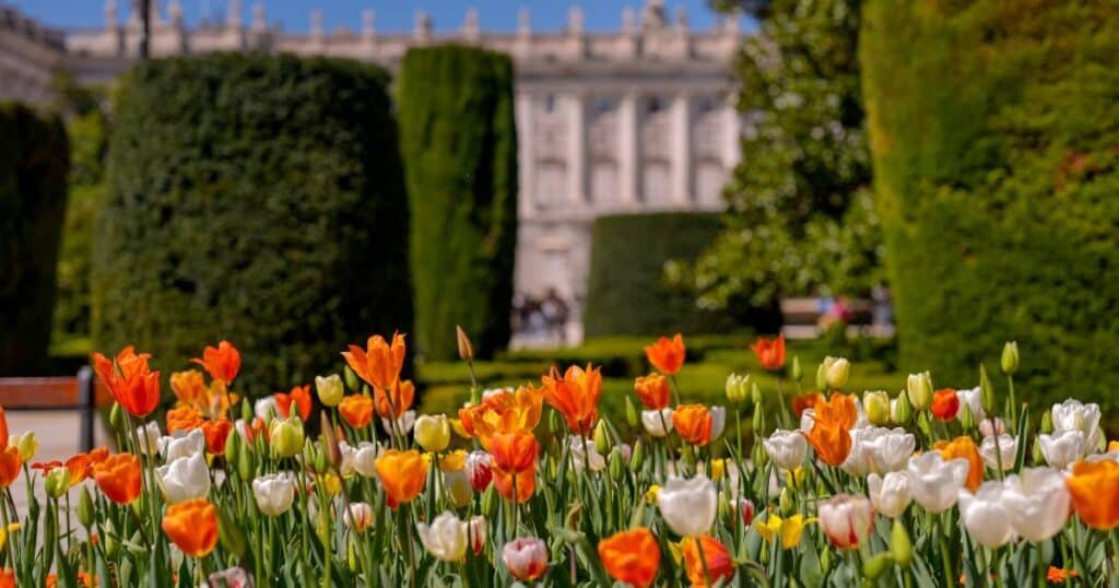 temporada de tulipanes impulsa el turismo en paises bajos 2