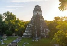 Tikal, joya arqueológica de Guatemala en medio de la selva