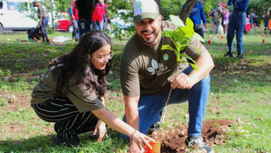umaba entrega a la alcaldesa cecilia patrón el plan municipal de infraestructura verde 2026
