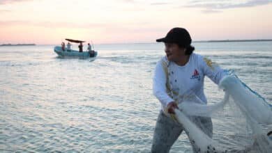 Inicia veda del mero y se activa calendario pesquero en Yucatán