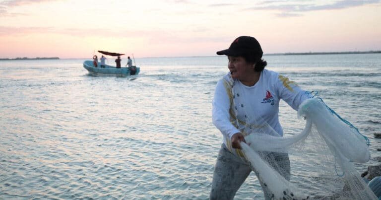 Inicia veda del mero y se activa calendario pesquero en Yucatán