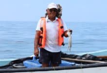 Inicia en febrero entrega de “respeto la veda 2026” con apoyo de 6,600 pesos a pescadores