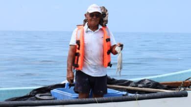 Inicia en febrero entrega de “respeto la veda 2026” con apoyo de 6,600 pesos a pescadores