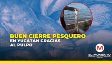 whatsapp image 2026 01 15 at 12.54.58 pm