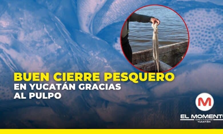 whatsapp image 2026 01 15 at 12.54.58 pm