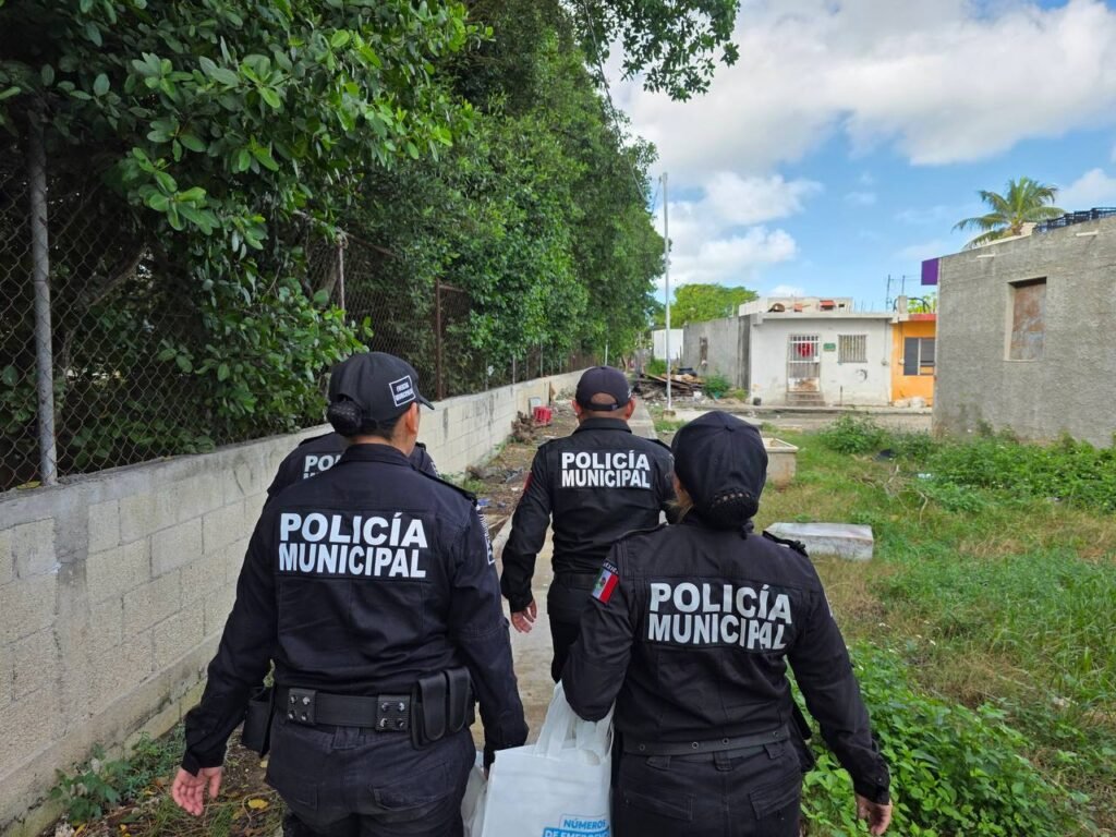 whatsapp image 2026 01 17 at 3.53.12 pm (1)