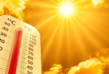 autoridades alertan por altas temperaturas que se avecinan en yucatán