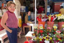 bajas temperaturas aumentan merma de florerías en mérida