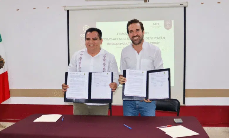 Cobay apuesta por energía solar en cinco planteles