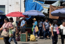comienza a elevarse la demanda en mercados tradicionales