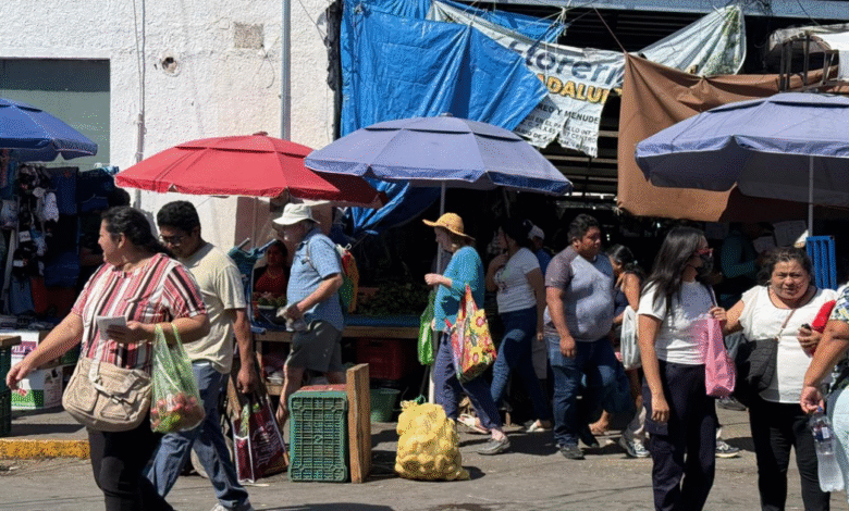 comienza a elevarse la demanda en mercados tradicionales