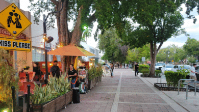 con operativo de alto impacto, mérida refuerza el orden en paseo de montejo