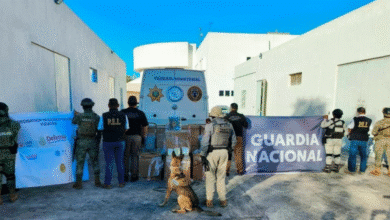 decomisan cargamento de droga en carretera mérida cancún