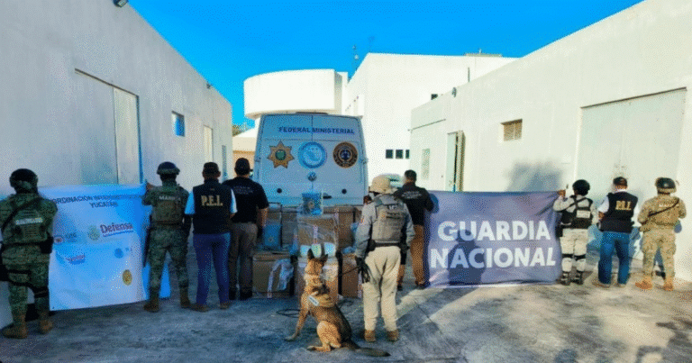 decomisan cargamento de droga en carretera mérida cancún