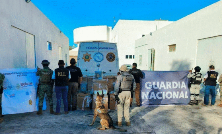 decomisan cargamento de droga en carretera mérida cancún