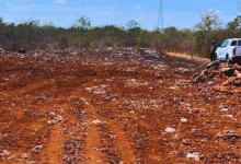 denuncian cuatro desmontes en 2026 dentro de la reserva ecológica cuxtal