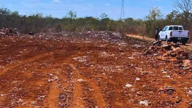 denuncian cuatro desmontes en 2026 dentro de la reserva ecológica cuxtal