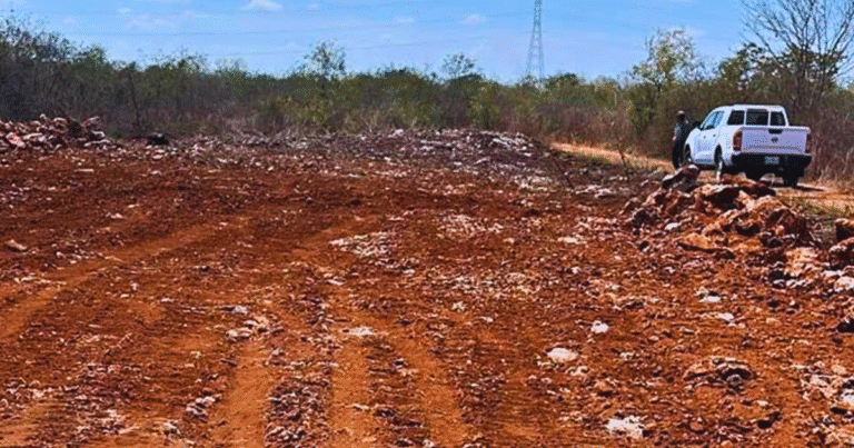 denuncian cuatro desmontes en 2026 dentro de la reserva ecológica cuxtal