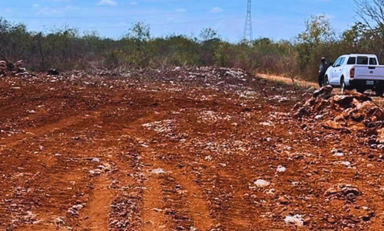 denuncian cuatro desmontes en 2026 dentro de la reserva ecológica cuxtal