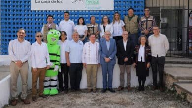 Yucatán es referente nacional en innovación para el control del dengue y otras arbovirosis