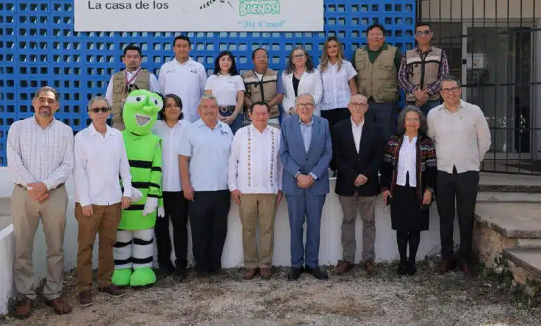 Yucatán es referente nacional en innovación para el control del dengue y otras arbovirosis