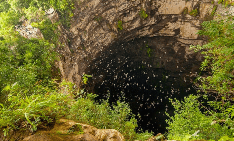 El Sótano de las Golondrinas, el abismo natural que asombra al mundo desde San Luis Potosí