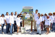 erik rihani impulsa preservación de la duna en chuburná puerto