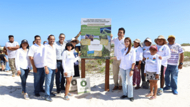 erik rihani impulsa preservación de la duna en chuburná puerto