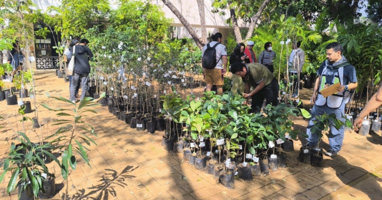 exitosa venta anual de plantas nativas en el cicy