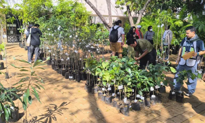 exitosa venta anual de plantas nativas en el cicy