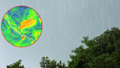 Frente Frío 33 en México: Evento Norte y heladas de -10 grados con lluvias fuertes este miércoles