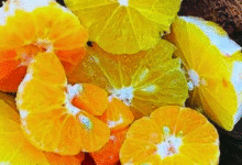 frutas y cítricos ideales para proteger la salud durante el frío en yucatán