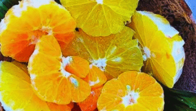 frutas y cítricos ideales para proteger la salud durante el frío en yucatán