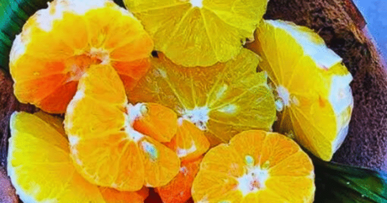 frutas y cítricos ideales para proteger la salud durante el frío en yucatán